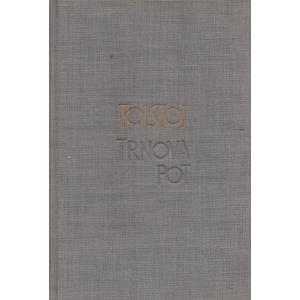Trnova pot 2