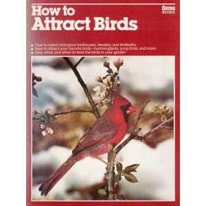 How to Attract Birds