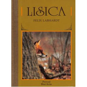 Lisica