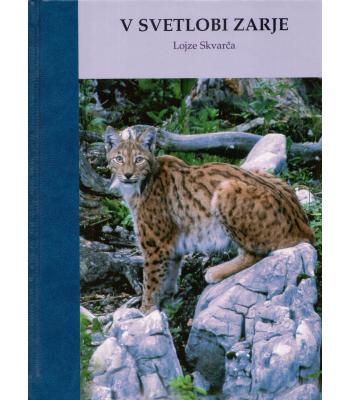 V svetlobi zarje