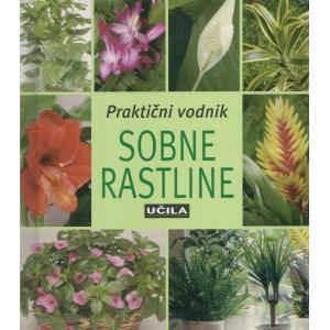 Sobne rastline