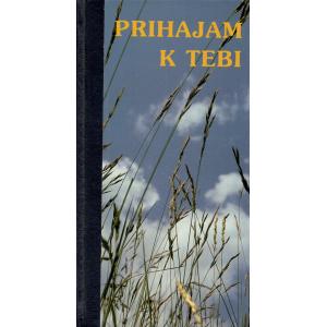 Prihajam k tebi