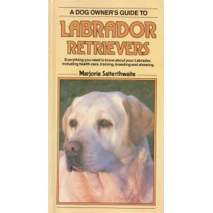 A dog owner's guide to Labrador retrievers
