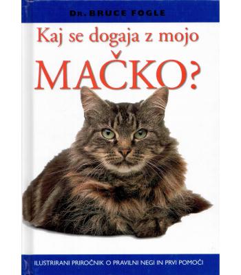 Kaj se dogaja z mojo mačko?