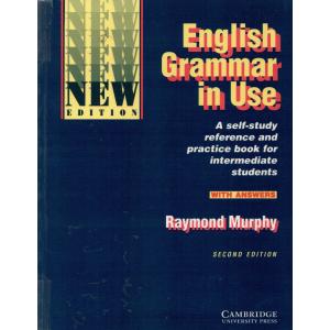 English grammar in use