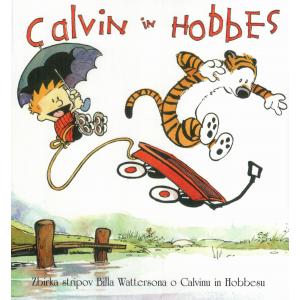 Calvin in Hobbes
