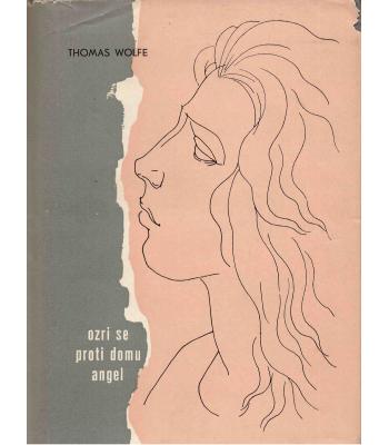 Ozri se proti domu, angel