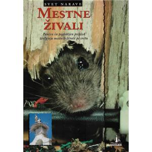 Mestne živali