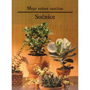 Sočnice
