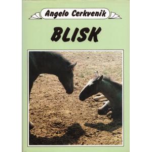 Blisk