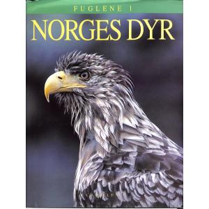 Fuglene 1 - Norges dyr