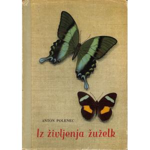 Iz življenja žuželk