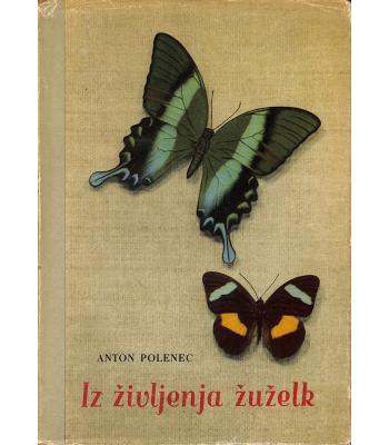 Iz življenja žuželk