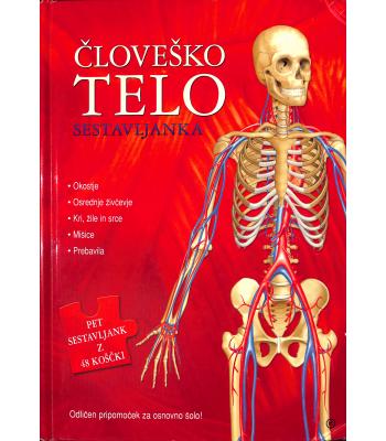 Človeško telo