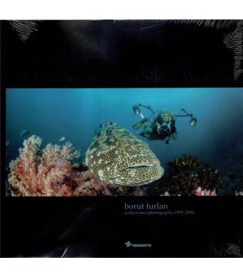 A journey into the silent worlds