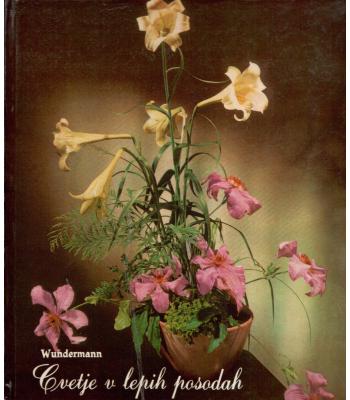 Cvetje v lepih posodah