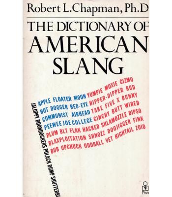 Dictionary of American Slang