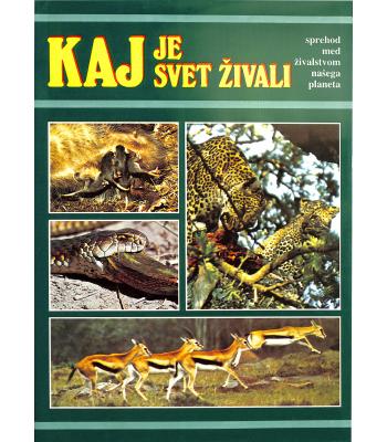 Kaj je svet živali