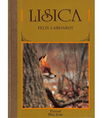 Lisica
