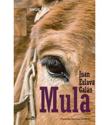 Mula