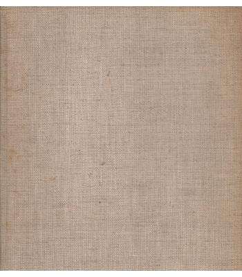 Obraz, zarisan v čas