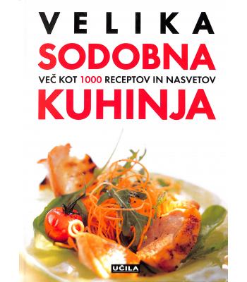 Velika sodobna kuhinja